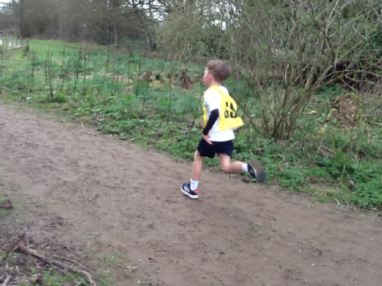 Cross Country Rural Schools Event 2026